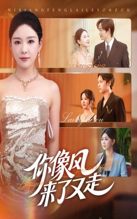 你像風來了又走