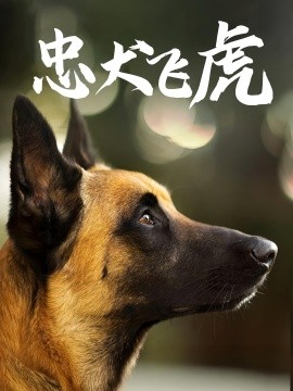 忠犬飛虎