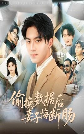 偷換數據后妻子悔斷腸