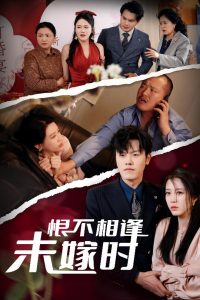 恨不相逢未嫁時30集