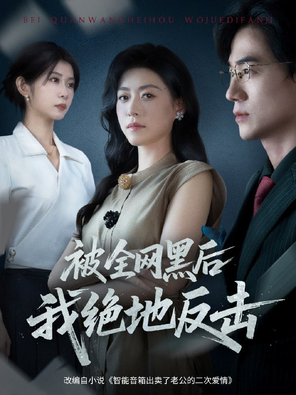被全網黑后我絕地反擊