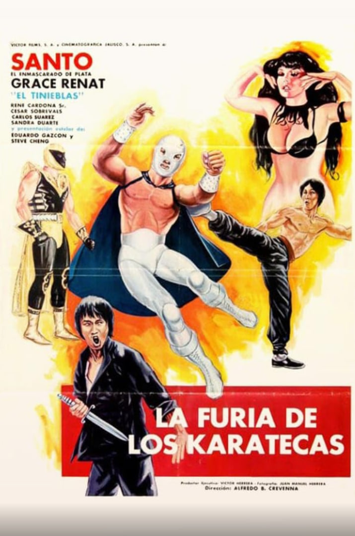 空手道殺手之怒